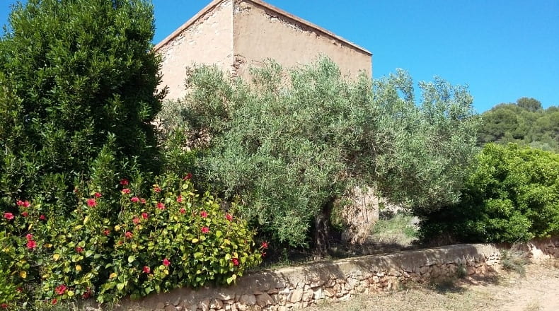 Castellón - Castellón de la Plana - 34902m2