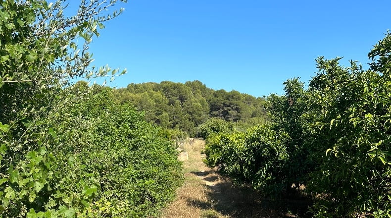 Castellón - Castellón de la Plana - 34902m2