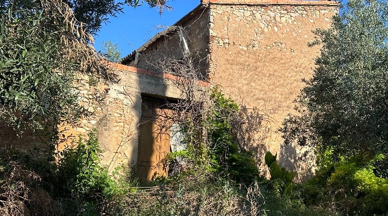 Castellón - Castellón de la Plana - 34902m2