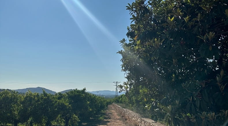 Castellón - Castellón de la Plana - 34902m2