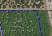 Non-developable land for sale on Cimi vell de piles, Oliva, ref: TR105003 photo