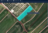 Non-developable land for sale on la Pallerassa, Sant Jaume d'Enveja, ref: TR105006 photo