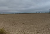 Non-developable land for sale on la Pallerassa, Sant Jaume d'Enveja, ref: TR105006 photo