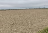Non-developable land for sale on la Pallerassa, Sant Jaume d'Enveja, ref: TR105006 photo