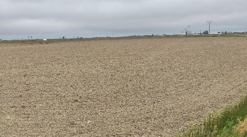 Tarragona - Sant Jaume d'Enveja - 10600m2
