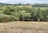 Finca rústica en venta en la MARTIN - BOVEDA, Monforte de Lemos, ref: TR105343 foto