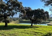 Rural estate for sale on Oliva de Plasencia, ref: TR105338 photo