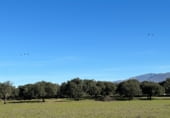 Rural estate for sale on Oliva de Plasencia, ref: TR105338 photo