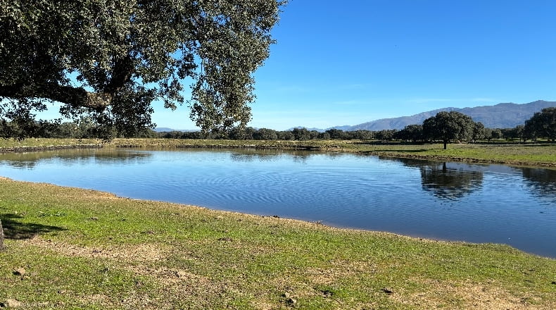 Cáceres - Oliva de Plasencia - 2920000m2