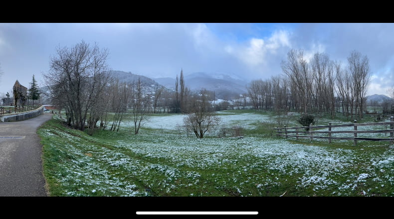 León - Lario - 534m2