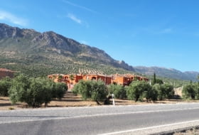 Foto 7