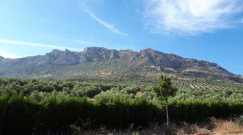 Jaén - Jódar - 300m2