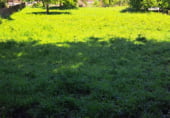 Parcel·la urbanitzable en venda a la A Cendona, ref.: TR104982 foto
