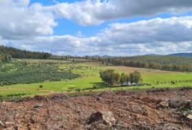 Puebla de la Reina 521&nbsp;m²