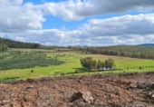 Finca rústica en venda a la Poligono 7 Parcela 26, Puebla de la Reina, ref.: TR105404 foto