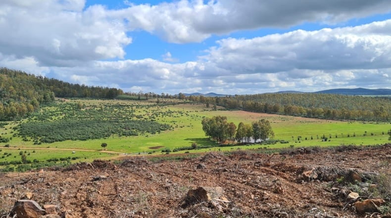 Badajoz - Puebla de la Reina - 521m2
