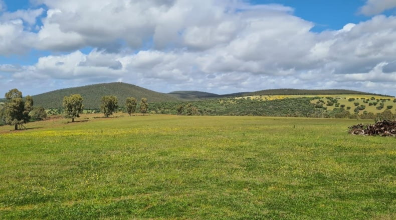 Badajoz - Puebla de la Reina - 521m2