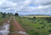 Finca rústica en venda a la Poligono 7 Parcela 26, Puebla de la Reina, ref.: TR105404 foto