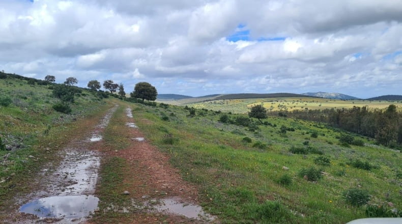 Badajoz - Puebla de la Reina - 521m2