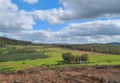 Finca rústica en venda a la Poligono 7 Parcela 26, Puebla de la Reina, ref.: TR105404 foto
