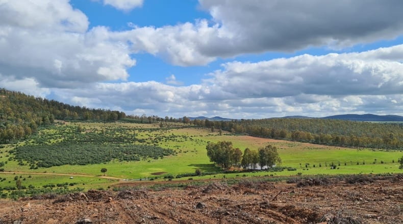 Badajoz - Puebla de la Reina - 521m2