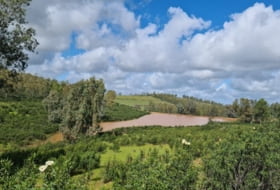 Puebla de la Reina 521&nbsp;m²