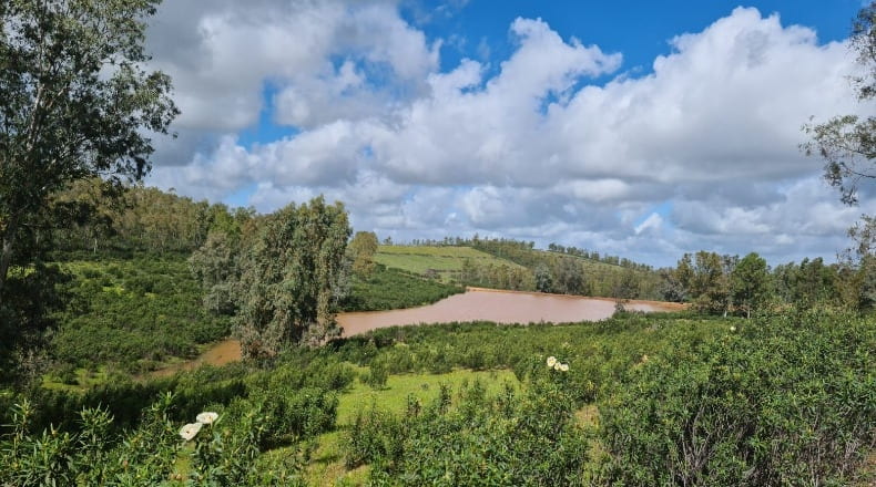 Badajoz - Puebla de la Reina - 521m2