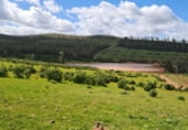 Finca rústica en venda a la Poligono 7 Parcela 26, Puebla de la Reina, ref.: TR105404 foto