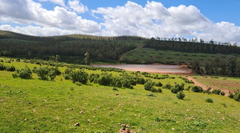 Badajoz - Puebla de la Reina - 521m2