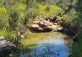 Finca rústica en venda a la Poligono 7 Parcela 26, Puebla de la Reina, ref.: TR105404 foto