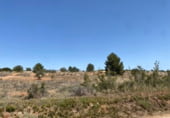 Parcel·la urbanitzable en venda a la Partida Corral Isidro, Montserrat, ref.: TR105403 foto