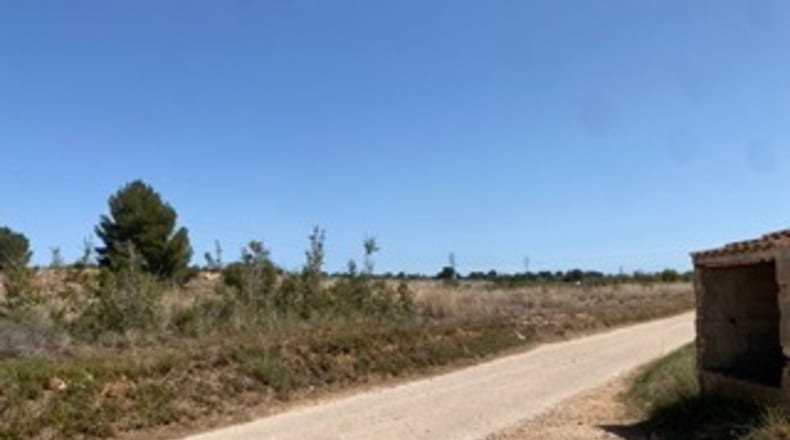 Valencia - Monserrat - 20500m2
