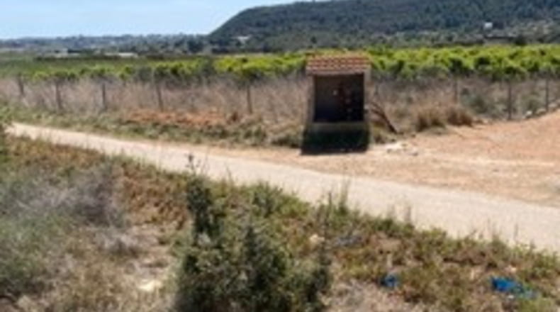 Valencia - Monserrat - 20500m2
