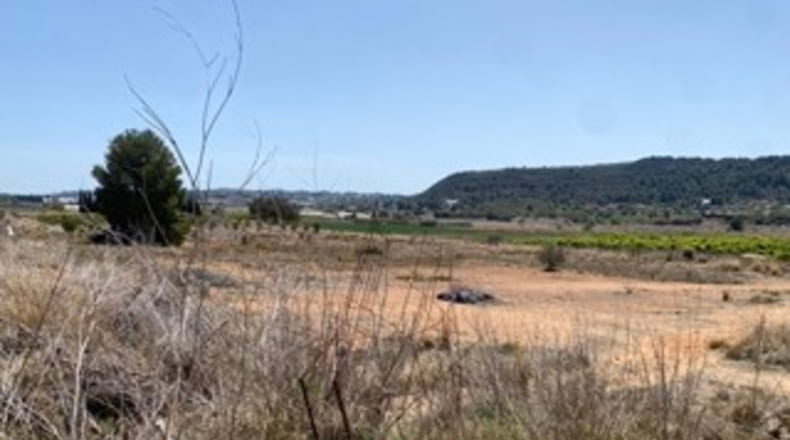 Valencia - Monserrat - 20500m2