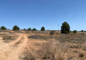 Parcel·la urbanitzable en venda a la Partida Corral Isidro, Montserrat, ref.: TR105403 foto