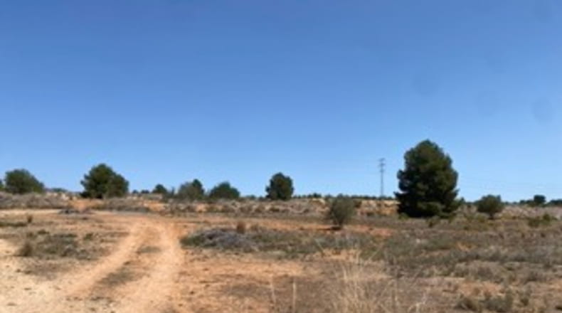Valencia - Monserrat - 20500m2