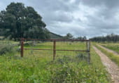 Terreno no urbanizable en venta en la Carretera a Alcuéscar, Alcuéscar, ref: TR105406 foto