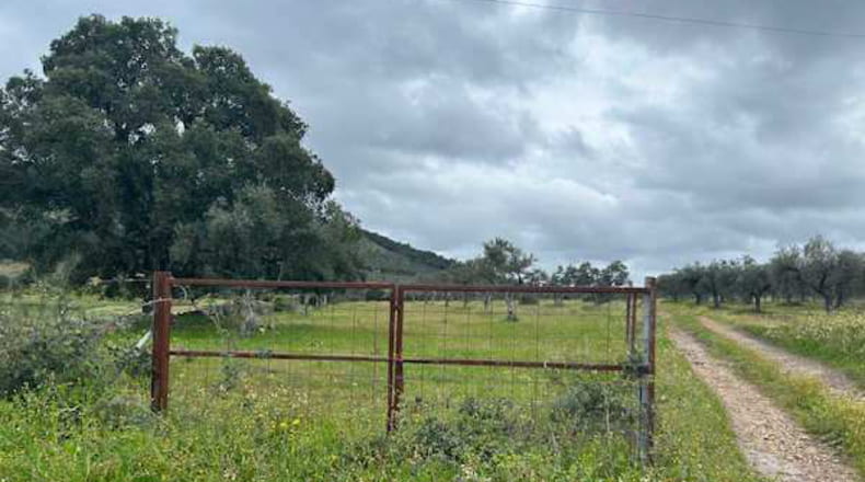 Caceres - Alcuéscar - 240000m2