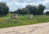 Terreno no urbanizable en venta en la Carretera a Alcuéscar, Alcuéscar, ref: TR105406 foto