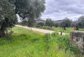 Foto 8