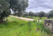 Terreno no urbanizable en venta en la Carretera a Alcuéscar, Alcuéscar, ref: TR105406 foto