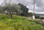 Terreno no urbanizable en venta en la Carretera a Alcuéscar, Alcuéscar, ref: TR105406 foto