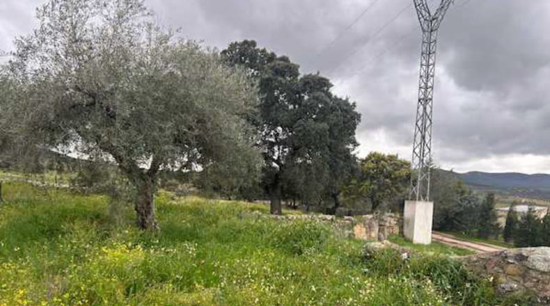 Caceres - Alcuéscar - 240000m2