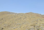 Rural estate for sale on Pechina, ref: TR59382 photo