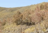 Rural estate for sale on Pechina, ref: TR59382 photo