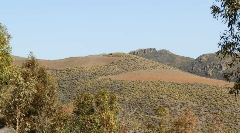 Ciudad Real - Villanueva de los Infantes - 320000m2