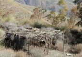 Rural estate for sale on Pechina, ref: TR59382 photo