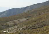 Rural estate for sale on Pechina, ref: TR59382 photo