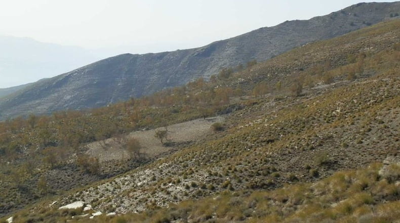 Ciudad Real - Villanueva de los Infantes - 320000m2