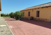 Casa senyorial amb terreny en venda a la M-221, Carabaña, ref.: TR105490 foto